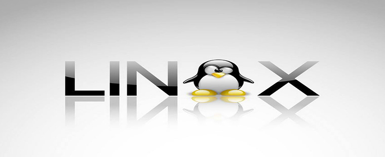 best linux training in delhi