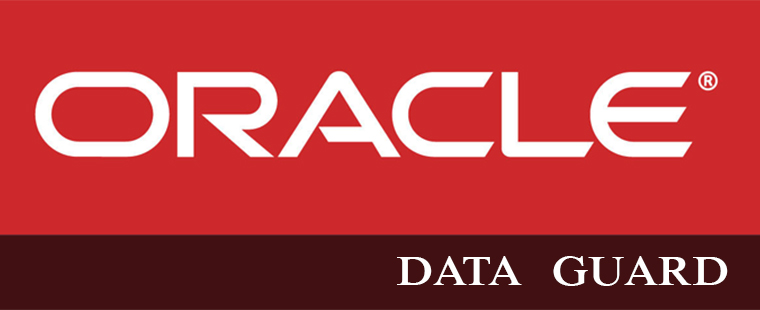 best oracle data guard training in delhi