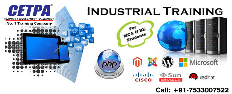  6 months industrial training in delhi